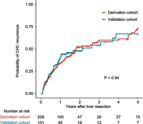 Figure 1 Kaplan–Meier probability of combined hepatocellular cholangiocarcinoma (CHC) recurrence within 5 years in the derivation and validation cohorts. The number at risk refers to the numbers of patients who have not relapsed at the corresponding time point.