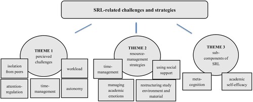 Figure 2. Themes and codes of the thematic analysis.