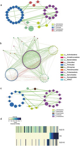 Figure 2. Co-occurrence network of microbiota in HC (a), SLE-G patients (b) and SLE+G patients (c).