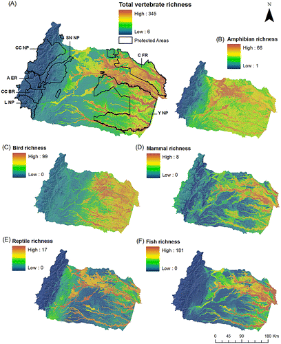 Figure 2. Species richness for freshwater vertebrates in the Napo Basin. Species richness maps were obtained from the summation of the species distribution models of (A) all species, (B) amphibians, (C) birds, (D) mammals, (E) reptiles, and (F) fish. Main state protected areas in the Napo Basin are: Yasuní National Park (Y NP), Cuyabeno Faunistic Reserve (C FR), Cayambe Coca National Park (CC NP), Sumaco Napo-Galeras National Park (SN NP), Antisana Ecological Reserve (A ER), Colonso-Chalupas Biological Reserve (CC BR), and Llanganates National Park (L NP).