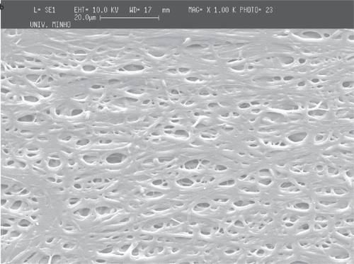 Figure 5 SEM images of PCL fiber meshes deposited in the screw collector: a) lower magnification of the fiber mesh, b) close-up showing the region of the mesh corresponding to the thread crest and c) the region between two consecutive threads of the screw collector.