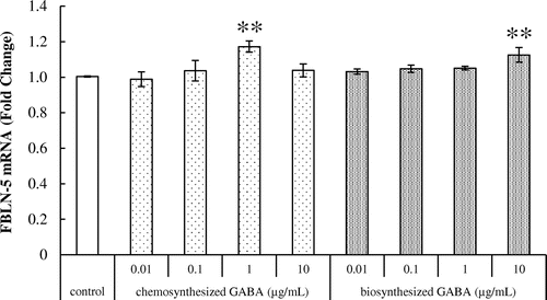 Fig. 5. Effects of GABA on fibulin-5 mRNA expression in HDFs. Cells were cultured for 24 h with various concentrations of chemosynthesized and biosynthesized GABA. The expression level of fibulin-5 transcript was analyzed by real-time PCR. Each datum represents the mean ± SD of three independent experiments. Results are compared to control, and significant difference is indicated by an asterisk (**p < 0.01).