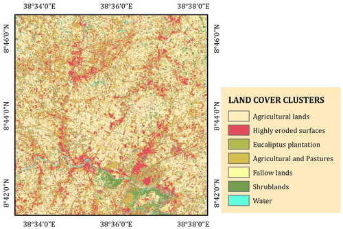 Figure 2. Land cover from RapidEye satellite image.