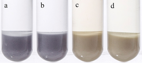Figure 3. Color development photos of LRS with (A) ferrous sulfate solution, (B) ferrous chloride solution, (C) ferric sulfate solution, and (D) ferric chloride solution.