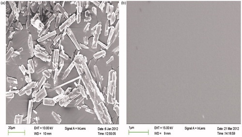 Figure 5. SEM images of (a) SIM crystalline; (b) ITZ/Soluplus (20:80) solid dispersion prepared by HME obtained by scanning electron microscopy.