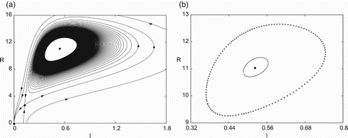 Figure 2. Simulation of the endemic Model (Equation22(22) I˙=I21+pI2(A−I−R)−mI,R˙=qI−R,(22) ) for p=0.33333333, A=14.72222222, m=1.50254546, q=21.14141414, showing the existence of two limit cycles enclosing the disease equilibrium (I1,R1)=(0.52343041,11.06605899): (a) trajectories diverging from the outer limit cycle; and (b) two limit cycles, enclosing a stable equilibrium, with the outer unstable (dotted curve) and the inner stable (solid curve).