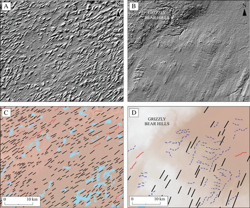 Figure 3. SRTM imagery displaying lineations from either side of the Shield boundary. (A) Densely spaced drumlins displaying low length to width ratios north of the Cree Lake Moraine. (B) Highly attenuated fluting orientated NE–SW east of the Grizzly Bear Hills. (C)/(D) Areas of corresponding geomorphological mapping, lineations indicated with black lines, eskers with red lines and meltwater channels with dashed blue lines. See Figure 1 for location of Figure 3 panels.