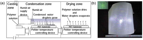 Figure 7. (a) Schematic illustration of continuous fabrication of honeycomb films and (b) a photograph of an A4 size honeycomb film prepared on a PET film. The inset image shows a laser diffraction pattern obtained from the film. Reproduced with permission from [Citation74] (Copyright 2013, Royal Society of Chemistry).