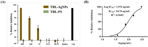 Figure 5. (A) Antimalarial activity of TBL-AgNPs in-vitro 3D7 strain. The percentage of parasite relative inhibition on pRBC was treated with an increasing dose (18.75–300 ng/mL) at 48 h of TBL-AgNPs, and (B) IC50 calculations of the TBL-AgNPs (IC50 = 94.70 ng/mL).