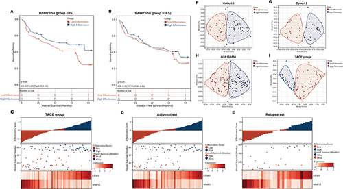 Figure 4 Evaluation of the prediction performance of our model by Kaplan-Meier (KM) analysis, principal component analysis, and survival heat map. KM analysis of overall survival and disease-free survival between low and high effectiveness groups in resection group (A, B). The survival heatmap displayed the distribution of patients’ effectiveness score, prognostic performance, and the expression of signature genes in the TACE group (C), adjuvant set (D), and relapse set (E). The principal component analysis of patients in cohort 1 (F), cohort 2 (G), GSE104580 (H), and TACE group (I) is based on the TACE effectiveness model.