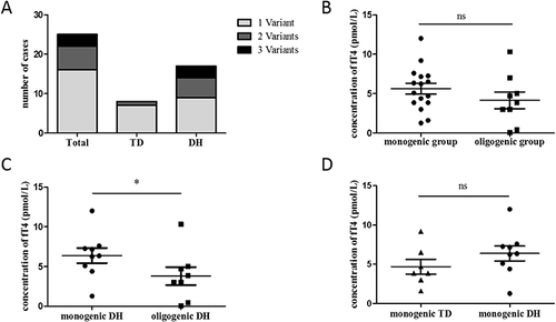 Figure 3 Analysis of genotype and phenotype relationship (A) The distribution of the number of variants carried by each patients; (B) The comparison of fT4 concentration between monogenic group and oligogenic group; (C) The comparison of fT4 concentration between monogenic DH and oligogenic DH; (D) The comparison of fT4 concentration between monogenic TD and monogenic DH. “ns” means P>0.05, “*” means P<0.05.