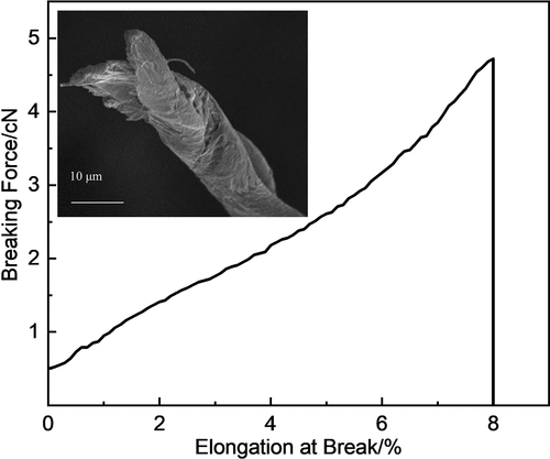 Figure 1. Breaking force curve of cotton individual fiber and the illustration is fracture interface morphology.
