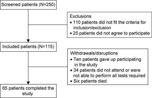 Figure 2 Flowchart of patients included in the study.