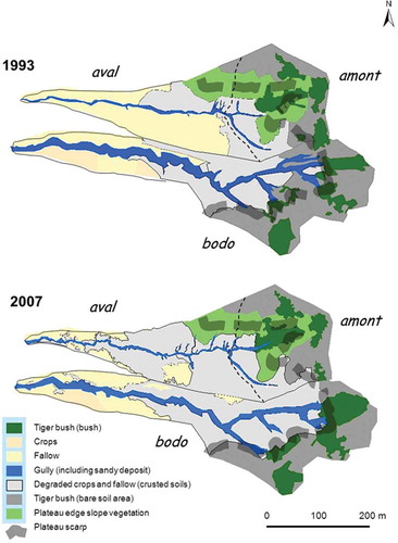 Fig. 7 Land cover and surface features in the three sub-basins in 1993 and 2007.