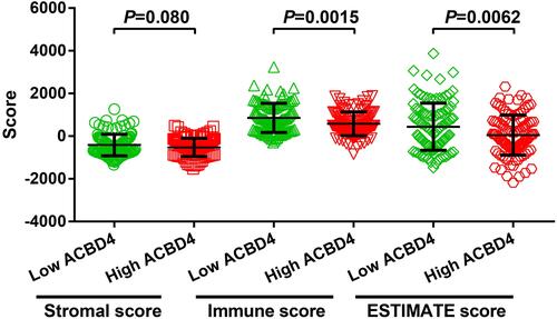 Figure 17 Score of ACBD4 gene in HBV-HCC immune microenvironment.