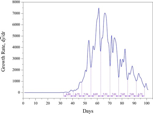 Figure 7. The spline approximation of the growth rate, dy~/dt, the period of the renewal and decline cycle, 1/a1 = 6.98 days.