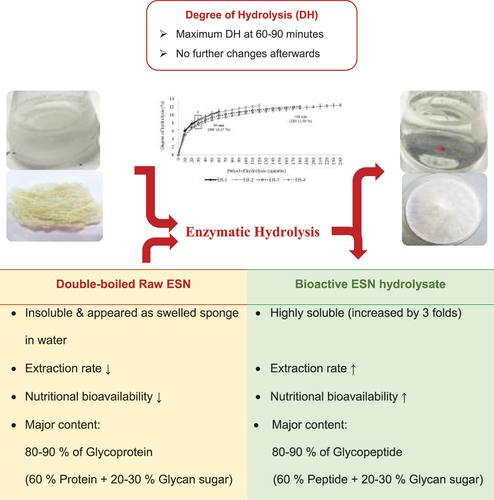 Acceptability of Pan de Yacon, PDF, P Value