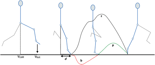 Figure 2. In the sprint gait cycle, leg retraction (forward rotation) begins as the foot leaves the ground and continues up until peak hip flexion. Leg protraction (backward rotation) commences as the hip extends and continues up until toe-off. For each limb, data were obtained as the hip transitioned from flexion (i.e., late retraction) to extension through to toe-off (i.e., protraction phase). Key variables compared between dominant and non-dominant legs in non-fatigued and fatigued sprinting. Vertical centre of mass velocity (vCoM), vertical foot velocity (vfoot), anterior-posterior distance of foot relative to CoM at foot-strike (d), braking impulse (b), propulsive impulse (p), vertical impulse (z).