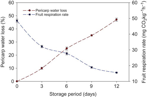 FIGURE 1 Pericarp water loss and respiration rate of non-treated longkong fruit during storage at 18°C (85% RH). Vertical bars represent the standard deviations.