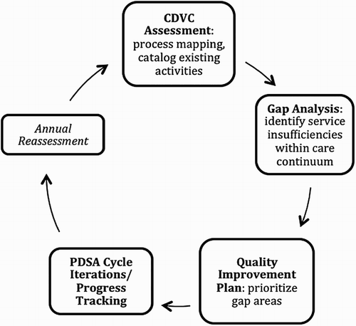 Figure 2. Schematic model for CDVC/quality improvement integration.