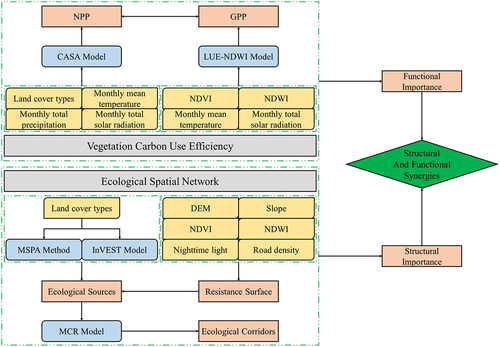Figure 2. Research framework for structural and functional optimizations between ecological spatial network and vegetation CUE.