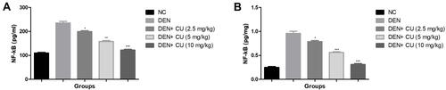 Figure 9 Effect of curcumae on the inflammatory parameters of obesity-induced hepatocellular carcinoma in rats. (A) NF-κB (serum) and (B) NF-κB (liver tissue). Tested group rats were compared with the DEN control group rats. *P<0.05, **P<0.01 and ***P<0.001 were considered as significant, more significant and extreme significant, respectively.