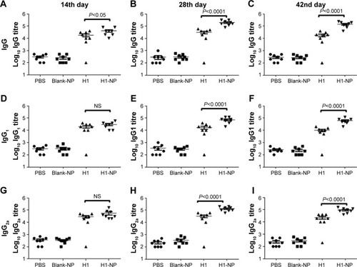 Figure 5 Anti-H1 antibody profile of mice immunized with, PBS, BLANK-NP, H1 and H1-NP.Notes: Mice (n=8) were bled on days 14, 28, and 42 postimmunization, and anti-H1 specific total IgG, IgG1, and IgG2a end-point titers were determined by ELISA. (A–C) Anti-H1 IgG end-point titers of each mouse group on days 14, 28, and 42, respectively; (D–F) anti-H1 IgG1 end-point titers of each mouse group on days 14, 28, and 42, respectively; (G–I) anti-H1 IgG2a end-point titers of each mouse group on days 14, 28, and 42, respectively. Each point represents the mean of triplicate values of individual mice, and the bars represent means ± SEM of all mice in a group.Abbreviations: PLGA, poly(lactic-co-glycolic acid); NPs, nanoparticles; NS, not significant.