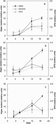 Fig. 1. Relative abundance of algae and bacteria (determined by Confocal Laser Scanning Microscopy) and extracellular polymeric substances (EPS, in relative fluorescence units) in young biofilms growing at the three locations studied at Leiduinen. (a) Nieuw Kanaal (NK); (b) Oranjekom (OK) east; (c) OK west. Error bars represent standard deviations (n = 12).