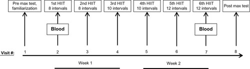 Figure 1 Protocol schematic. Subjects completed eight total visits over a 3-week period, including a pre-training testing session and HIIT familiarization session, six HIIT sessions, and a post-training testing session. Blood was collected during HIIT session 1 and HIIT session 6 for the analysis of inflammatory cytokines and chemokines.Abbreviation: HIIT, high-intensity interval training.