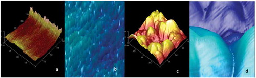 Figure 3. Microscopy atomic analysis of nanostructured (a, b) and native (c, d) of blue corn starch.Figura 3. Análisis de microscropía atómica del almidón nanoestructurado (a.b) y nativo (c,d) de maíz azul.