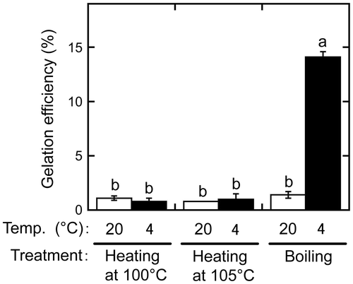 Figure 2. Effects of heating treatment during extract preparation on gelation. Sword bean extracts were prepared by incubating the suspension containing ground beans at 100 or 105 °C for 3 min or boiling it with stirring for 3 min. The heated suspension was sieved through a cotton cloth, and the extracts were incubated at 20 or 4 °C for 1 day. Gelation efficiency was calculated as in Figure 1. Data are expressed as the means ± standard deviations of three independent experiments. The statistical significance of differences was determined by one-way analysis of variance and the Tukey–Kramer test. Different letters indicate a significant difference (p < 0.001).