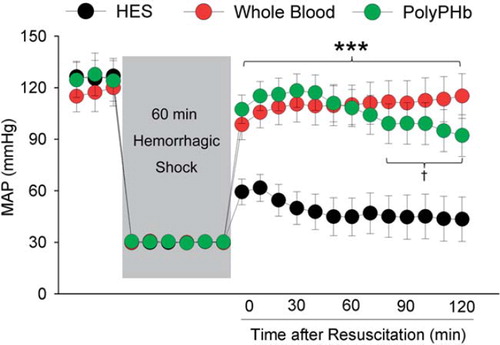 Figure 2. The MAP recovery after hemorrhagic shock and resuscitation of the three groups. Values were presented as mean ±SD (n = 15 – 18). ***P < 0.001 vs. the HES group. †P < 0.05 vs. the Whole Blood group. MAP: mean arterial pressure.