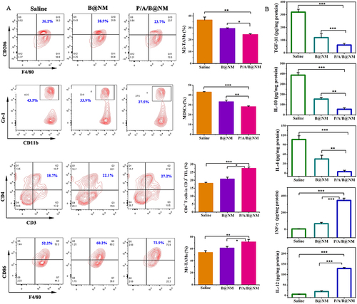 Figure 8 Co-delivery nanomicelles based combination therapy reprograms the tumor immunosuppressive microenvironment to enhance intratumoral T-cell infiltration and effector T-cell function. (A) Representative cytometric dot plots of CD3+CD4+ T cells, F4/80+CD86+M1-TAMs cells, F4/80+CD206+M2-TAMs cells, and CD11b+Gr-1+ MDSCs in tumors (left) and the proportions of CD4+ T cells, M1-TAMs cells, M2-TAMs cells, and MDSCs in tumors in different treatment groups (right) (n=3). (B) ELISA results showing TGF-β1, IL-10, IL-4, INF-γ, and IL-12 content in the tumors (n=3). Error bars represent means ± SEM. *P < 0.05, **P < 0.01, ***P < 0.001.