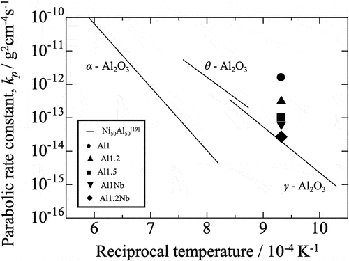 Figure 9. Arrhenius plot showing the parabolic rate constants determined for the oxidation of Ni50AI50 [Citation19] and the kp values determined in the present experiment (Table 2).