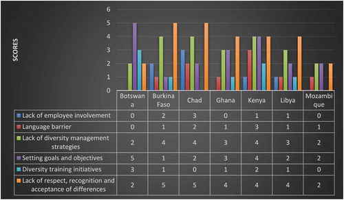 Figure 1. Comparison by country on diversity management