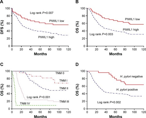 Figure 2 (A) Kaplan–Meier analysis of DFS for GC patients according to the PIWIL1 expression status. (B) Kaplan–Meier analysis of OS for GC patients according to the PIWIL1 expression status. (C) Kaplan–Meier analysis of OS for GC patients according to the TNM stage. (D) Kaplan–Meier analysis of OS for GC patients according to H. pylori infection.