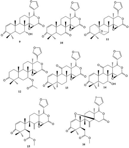 Figure 2. Limonoid derivatives isolated from the roots of P. kotschyi.