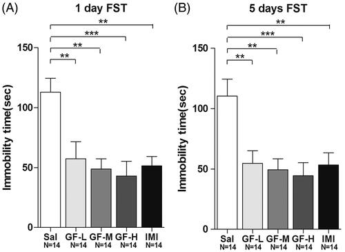 Figure 4. Griflola frondosa (GF) treatment demonstrated significant antidepressant effects in the forced swim test (FST). CD-1 mice were fed with their regular mouse chose, a low dose of Griflola frondosa (GF powder:mouse chow =1:4, GF-L); a medium dose of Griflola frondosa (GF powder:mouse chow =1:2, GF-M); or a high dose of Griflola frondosa (GF powder:chow food =1:1, GF-H). For the positive control group, mice were i.p. injected with imipramine (15 mg/kg/day, IMI). Mice in the negative control group were i.p. injected with saline (Sal). One day or five days after the GF-containing food intake, mice were subjected to the FST. The number of mice per group is indicated in each individual graph. Data were analysed by one-way ANOVA and presented as the mean ± SE (post hoc Tukey’s test, *p < 0.05, **p < 0.01, ***p < 0.001). (A) One day after the administration, GF treatment significantly reduced immobility time in the FST. (B) Five days after the GF administration, GF also significantly reduced immobility time in the FST.