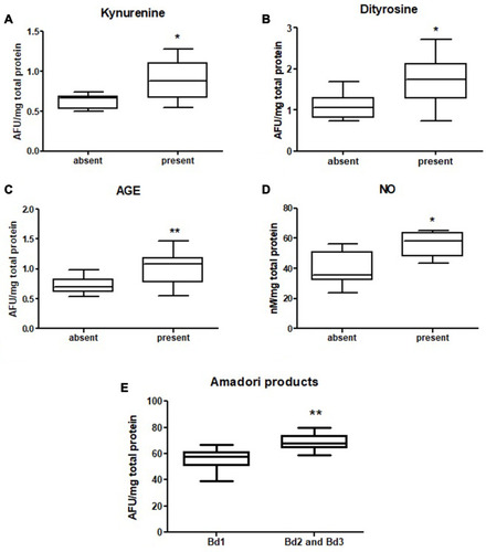 Figure 7 Comparison of: kynurenine (A), dityrosine (B), AGE (C) and NO (D) level between tumours with present and absent neural invasion and Amadori products level (E) between tumours with low budding (Bd1) and intermediate and high budding (Bd2 and 3). The data are presented as median (minimum - maximum). *p < 0.05, **p < 0.01.