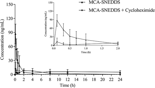 Figure 8 Plasma concentration-time profile of MCA-SNEDDS with/without pretreatment with cycloheximide.