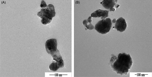 Figure 2. TEM images of ZnO (A) nanoparticles and Si3N4 (B) nanoparticles.
