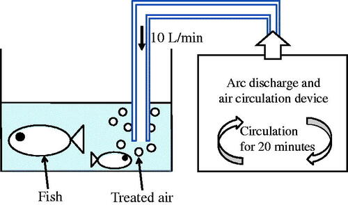 Figure 2. Schematic diagram of the arc discharge treatment and circulation device.The volume of the circulation tank is about 10 L. During the 20 minutes that the reactor is discharging, the air inside circulates between the tank and the reactor, increasing the concentration of active species.