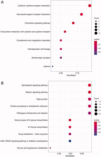 Figure 4. KEGG enrichment analysis of dif-mRNAs. (A) Upexpressed dif-mRNAs were primarily related with cytokine–cytokine receptor interaction pathway. (B) Downexpressed dif-mRNAs were mainly associated with sphingolipid signalling pathway.