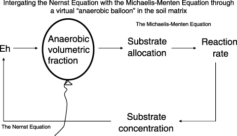 Figure 3  A computable kinetic scheme “anaerobic balloon” was invented to link the Nernst equation to the Michaelis–Menten equation for tracking the interaction between the soil redox conditions and the microbial activities.