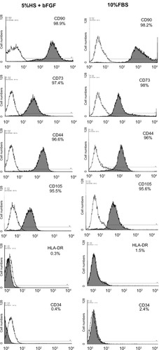 Figure 3 Flow cytometry analysis and comparison of the expression of surface markers by WJ-MSCs expanded using 5% HS + 2 ng/mL bFGF versus standard medium containing 10% FBS. Representative histograms (n = 3) are demonstrated where shaded curves represent specific antibody signal.
