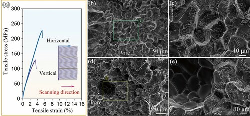 Figure 7. (a) Tensile testing of the as-deposited WAAM 7055 alloy along horizontal and vertical directions, respectively; (b, c) Fracture surfaces of horizontal (parallel to the travelling direction) specimens; (d, e) Fracture surfaces of vertical (perpendicular to the travelling direction) specimens.