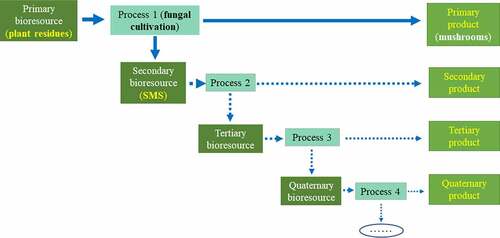 Figure 3. Schematic illustration of the cascade-use concept of bioresources (based on Vis et al. 2016 [Citation204], p. 6, https://data.europa.eu/doi/10.2873/827106).