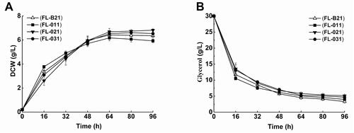 Figure 3. Cell mass and substrate consumptions of FL-011, FL-021 and FL-031 strains cultivated in flasks. (A) Cell mass (DCW), (B) glycerol for FL-011, FL-021 and FL-031.Note: All experiments were conducted at least thrice and the error bars represent the standard deviations.