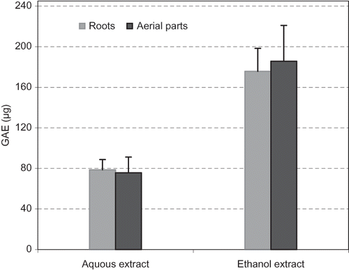 Figure 1 Total phenolic contents as gallic acid equivalent (GAE/1 mg of dried extract) in roots and aerial parts of Licorice.