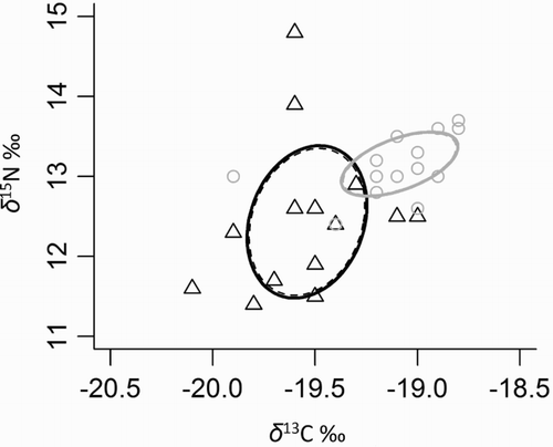 Figure 7. Whole blood δ13C and δ15N values of tracked little penguins during incubation (black triangles, n = 14) and during chick rearing (grey circles, n = 16). Standard Bayesian ellipse areas corrected (solid line) and uncorrected (dashed lines) for small sample sizes are shown for incubation and chick rearing (black and grey lines, respectively).
